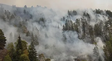 Продължават да гасят пожара в Рила