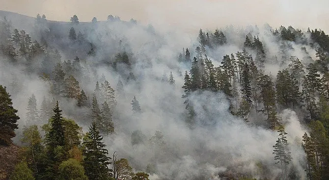 Продължават да гасят пожара в Рила