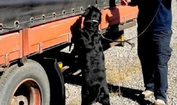 Куче митничар откри стотици цигари в бус