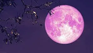 Дойде Розовата луна. Носи успех за 4 зодии