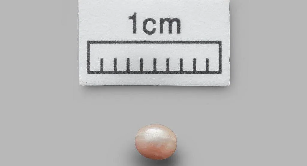 Най-старата естествена перла в света е на 8000 г.