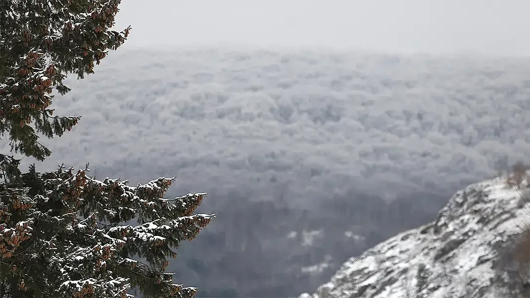 Изненада от времето! Сняг до дни /ОБНОВЕНА/