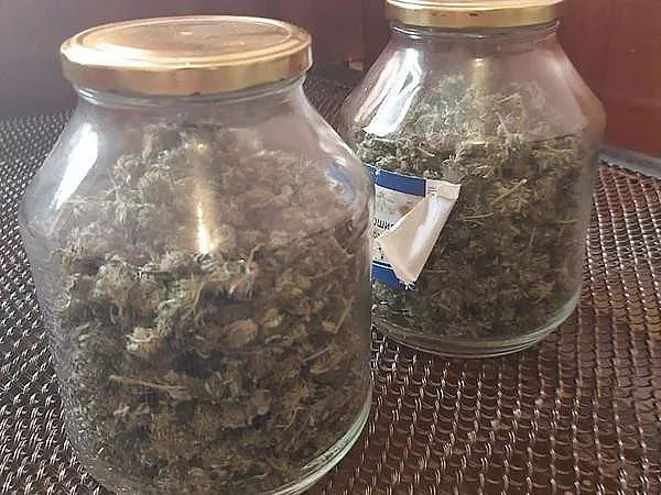 Откриха марихуана в дома на бургазлия