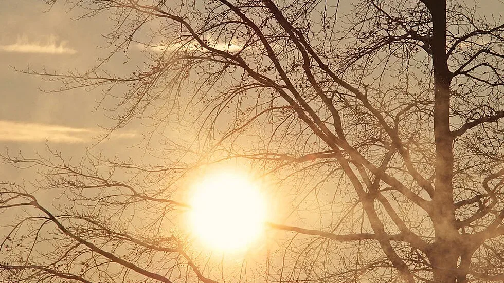 Антициклонът "Лизбет" носи летни температури