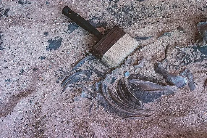 Сензационна находка в Йерусалим. Артефакт на 1700 години