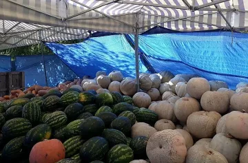 Търговци линчуват крадлив ром в Пазарджик