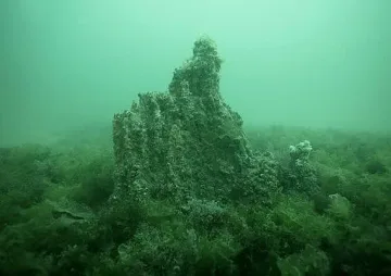 Невероятно откритие до наш топ курорт!