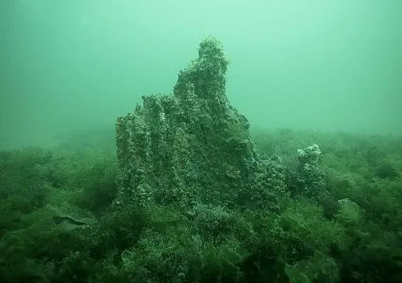 Невероятно откритие до наш топ курорт!