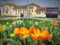 Наше селце стана рай! Изкупиха всички имоти