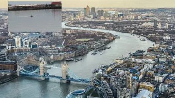 5-метров гърбат кит доплува в Лондон по Темза