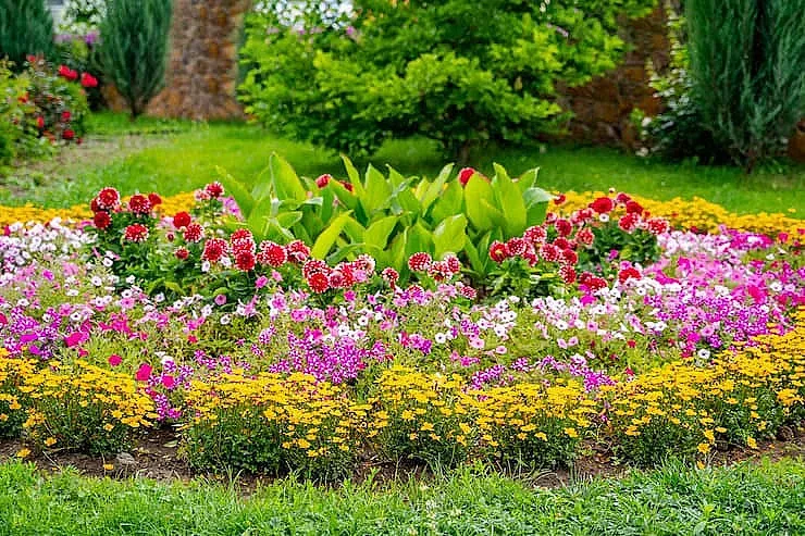 За Цветница! Как да се грижим за цветята в градината