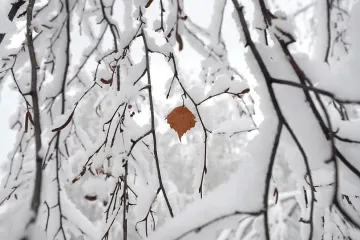 Зимата подрани в САЩ и Канада