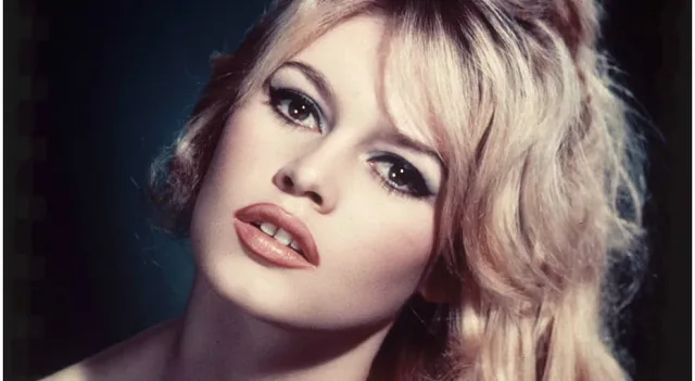 От милиардер до политик - съпрузите на Бриджит Бардо