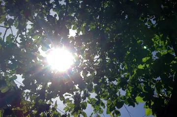 Чака ни топло начало на седмицата