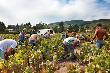 Пак трудова експлоатация на българи във Франция