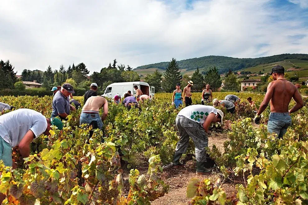 Пак трудова експлоатация на българи във Франция