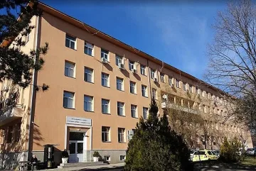 18 непълнолетни ромки родиха в Свиленград