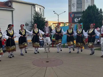 Наша волейболистка прославя Радомир