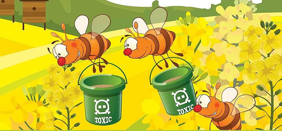 Мед от Южна Америка ще ни трови с пестициди