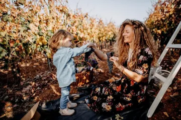 Новата седмица започва със слънце