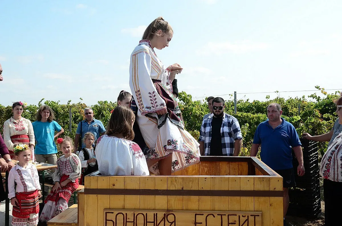 Откриха гроздобера във Видинско