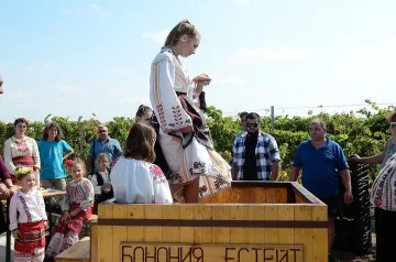 Откриха гроздобера във Видинско