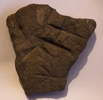 Туристи се оглеждат в плочката на Праужда