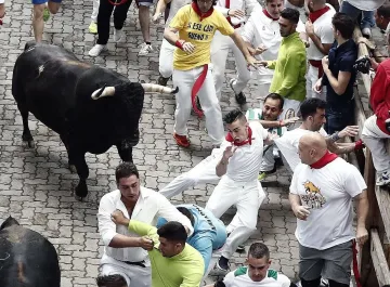 Бик уби зрител по време на фестивал