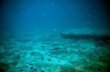 Океаните се превръщат в наши врагове