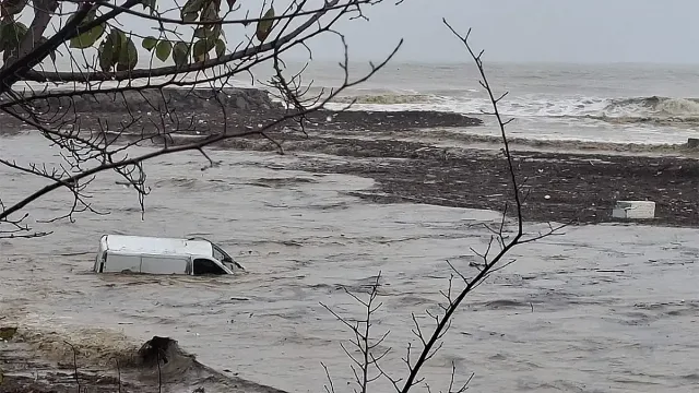 Ужас без край! Четвърта жертва в Елените