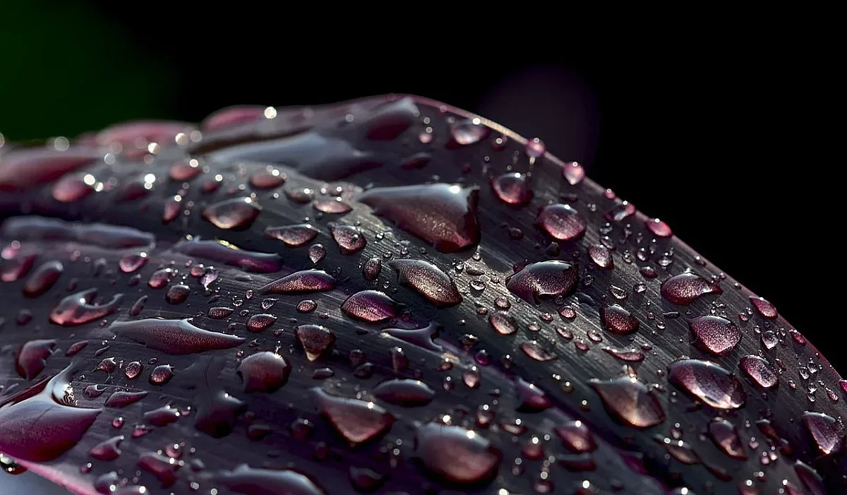 Синоптиците предупреждават! В тези части на България носете чадър