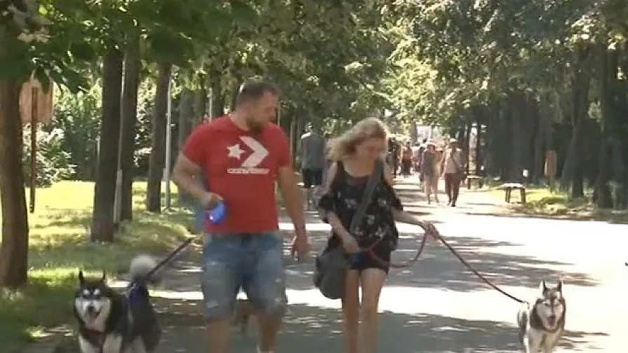 Хората с кучета имат по-здрави сърца