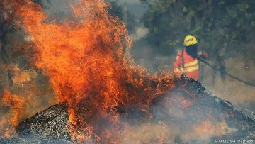 Апетити за бразилско говеждо и соя стоят зад пожарите