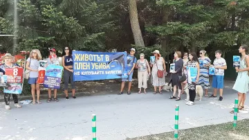Свобода за делфините в делфинариума искат варненци