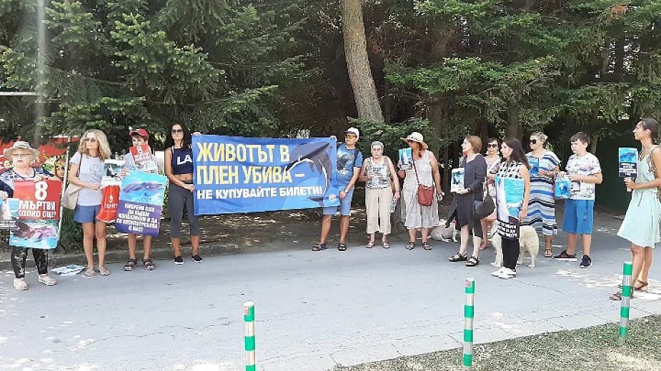 Свобода за делфините в делфинариума искат варненци