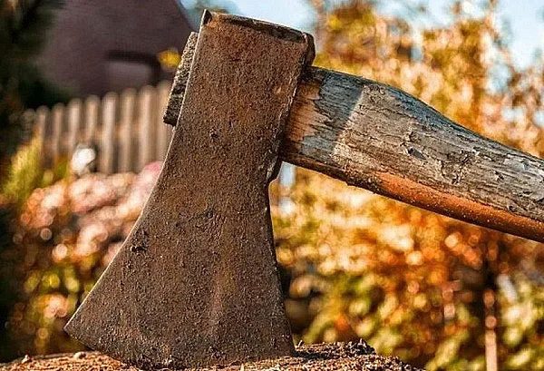 Инвалид нападна  жена си с нож