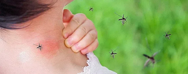 2-годишно дете от Бургас със западнонилска треска