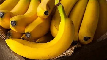 Човечеството може да остане без банани