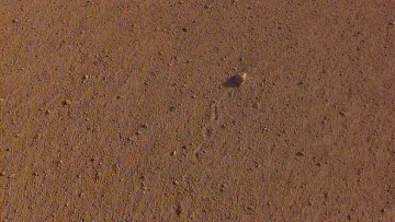 Кръстиха камък на Марс на "Роулинг стоунс"