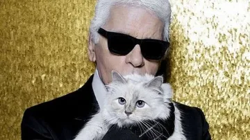 Instagram акаунтът на котката на Лагерфелд даден на съд