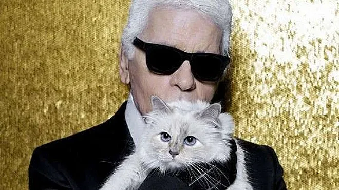 Instagram акаунтът на котката на Лагерфелд даден на съд