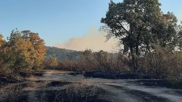 Овладян е пожарът край Хасково