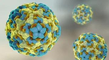 Мъчи ни летен вирус с температура и диария