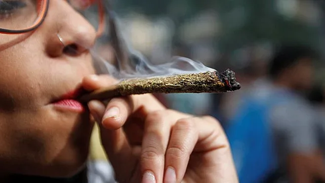 По-малко смъртни случаи в САЩ след легализиране на канабиса
