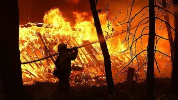Петиция за защита на животните от пожарите в Сибир