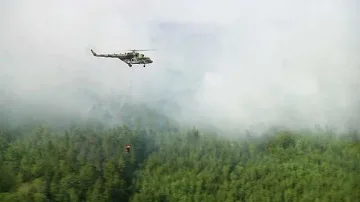 Пожарът в Сибир обхвана над 1 млн. декара гора