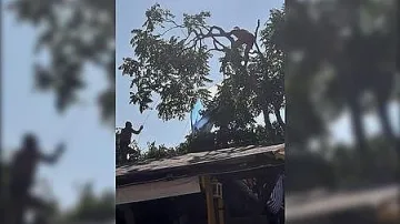 Две момичета се приземиха с парашут върху дърво