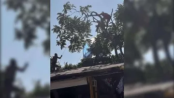 Парашут с две момичета рухна върху дърво