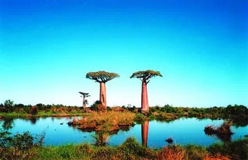 Студентка  загина след падане от самолет