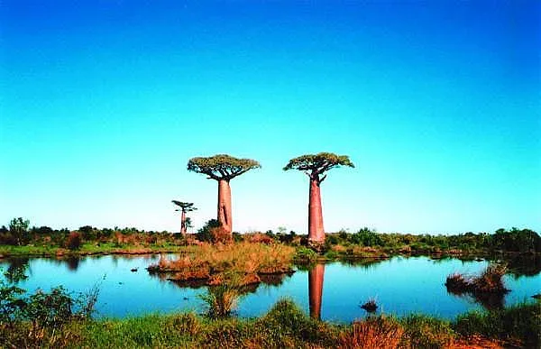 Студентка  загина след падане от самолет